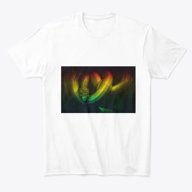 Beautiful Rainbow Snake|LGBTQ+