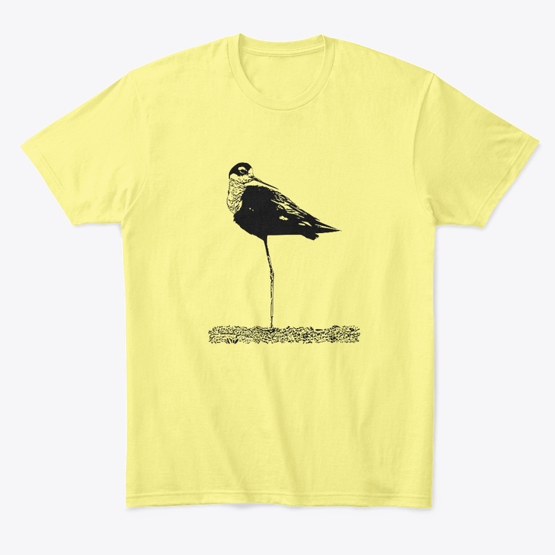 Black-necked Stilt