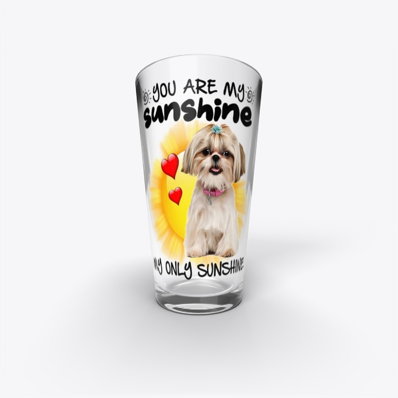 Shih Tzu Sunshine