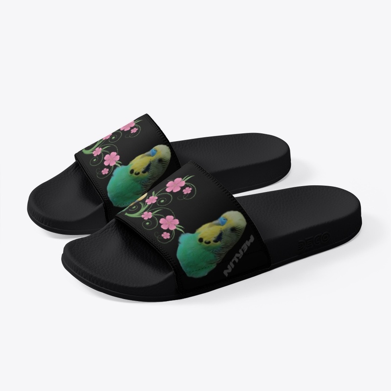 MERLINS SLIDES FUSION
