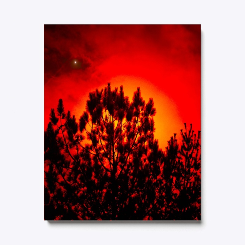red moon behind trees 