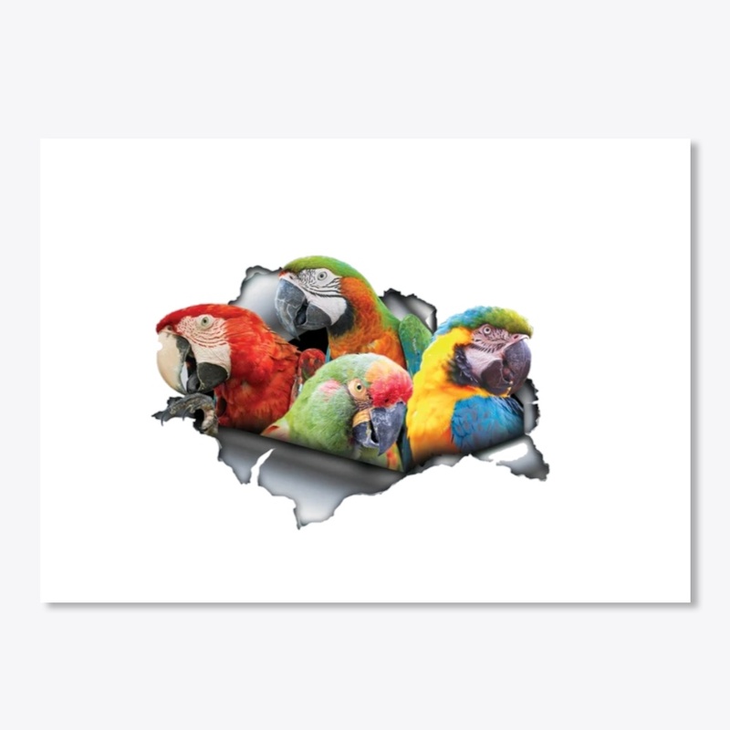 group of parrot