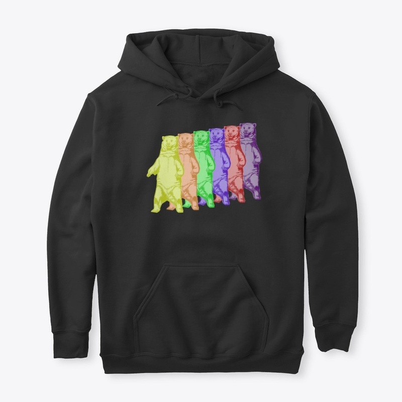 Rainbow Bear Shirts 