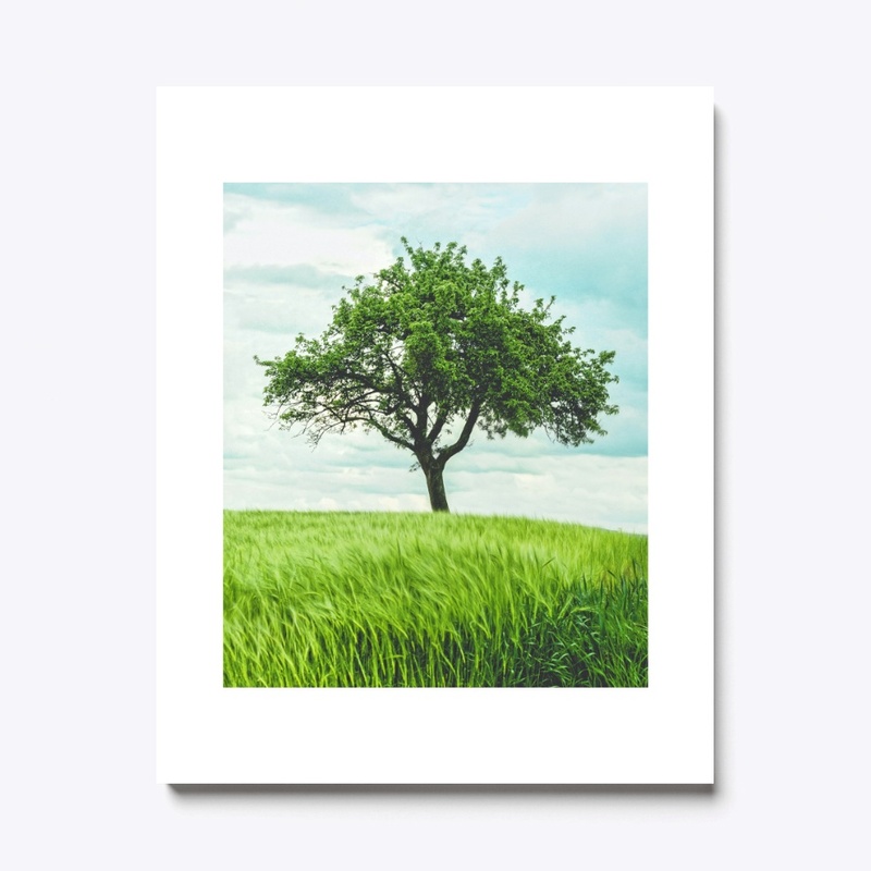 tree with grass 