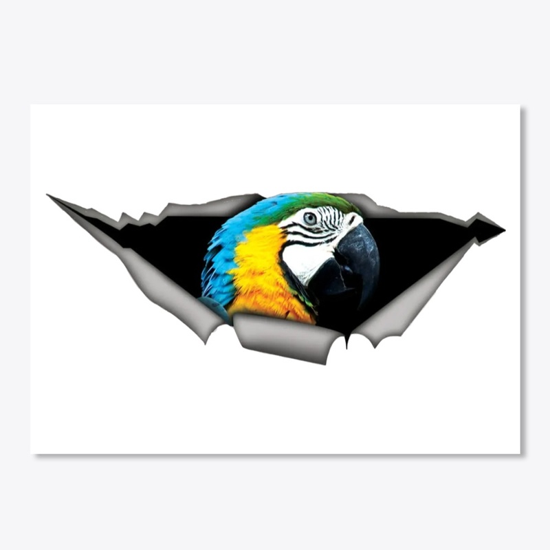 parrot sticker 