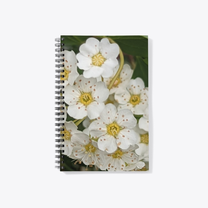 White Flower Collection Raffle