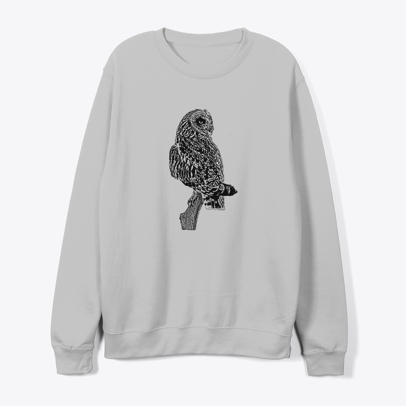 Short-eared Owl Birdwatching