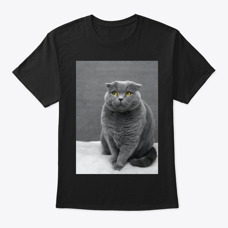 I LOVE MY CAT