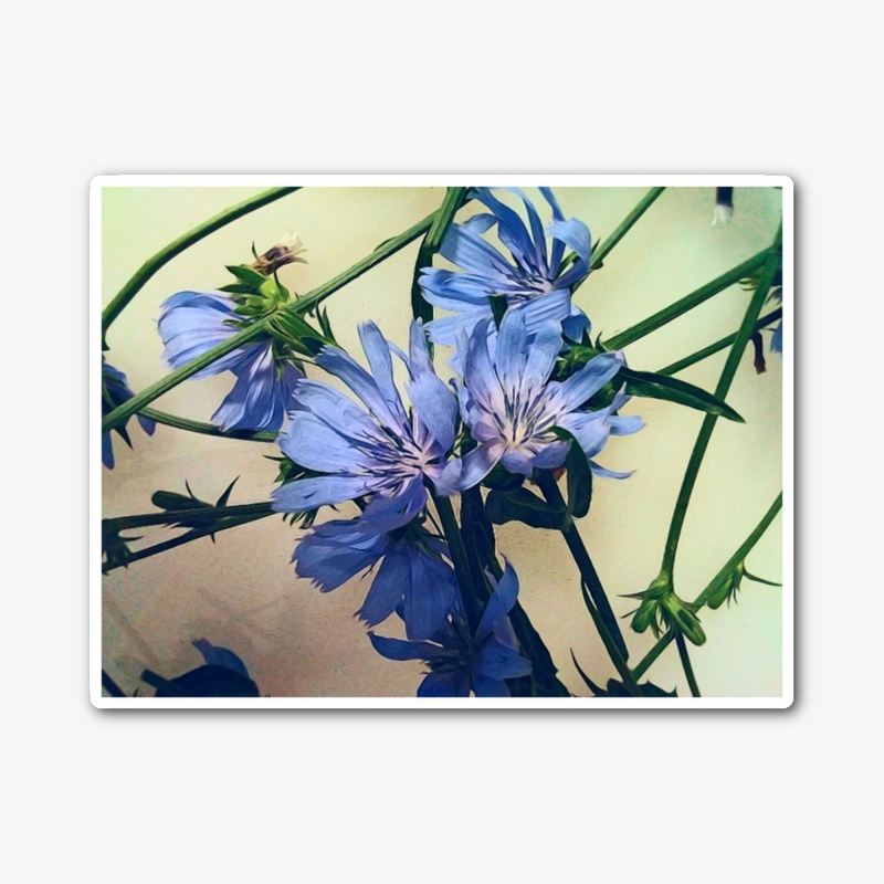 Blue Wildflower