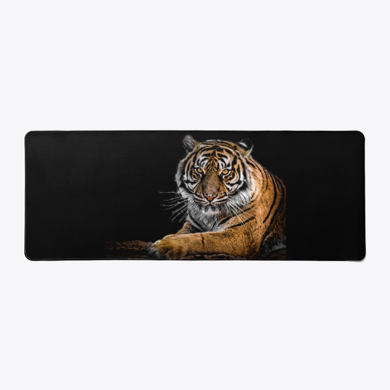 A Tiger's Look