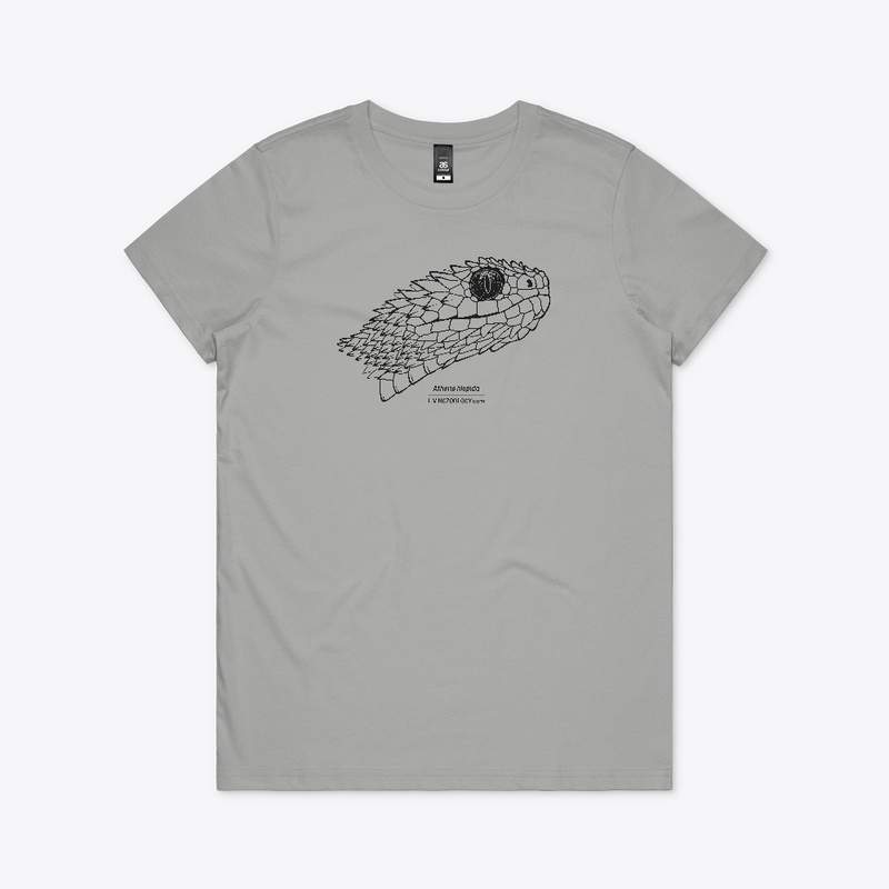 Atheris hispida black and white