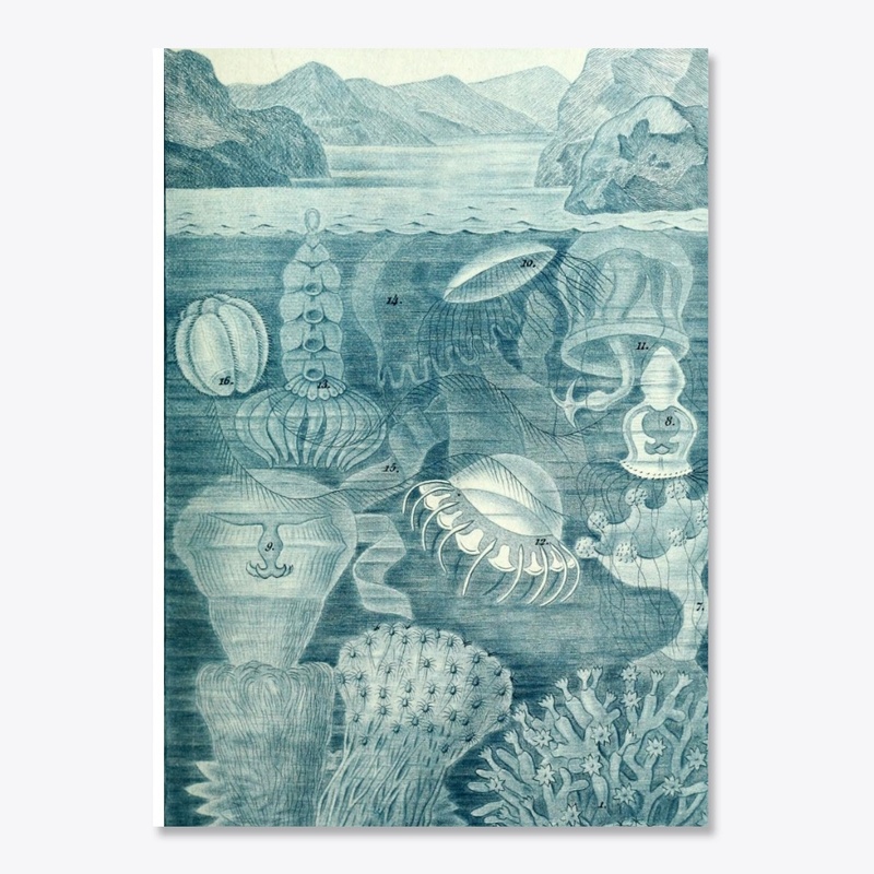 Beneath the Surface