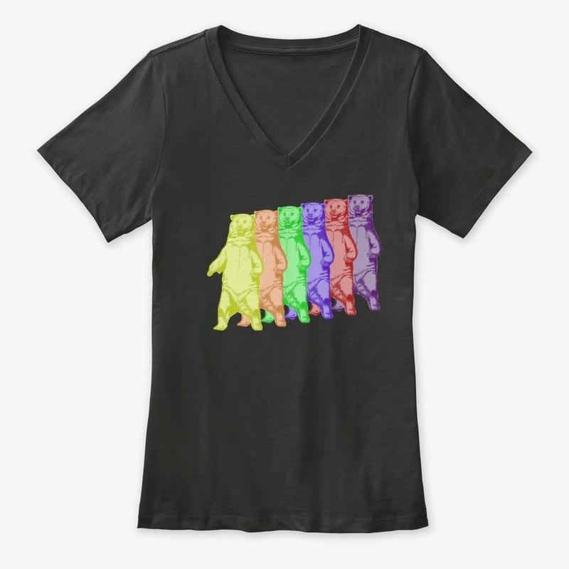Rainbow Bear Shirts 