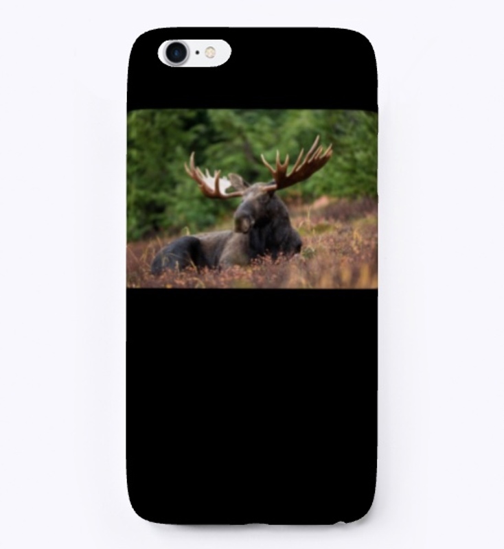 Buy Today Alaska Accessories.