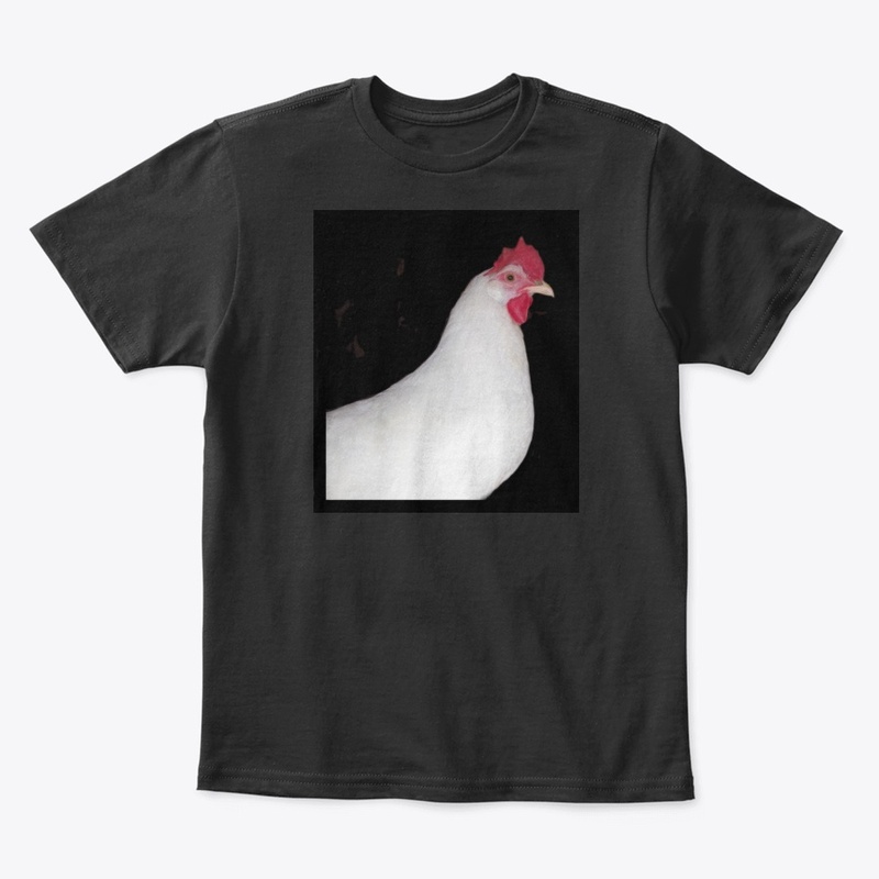 white leghorn hen chicken farm animal