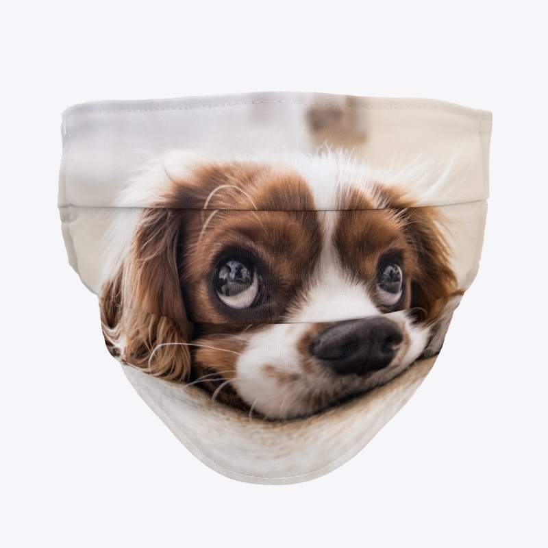 Summer Dog Face Mask