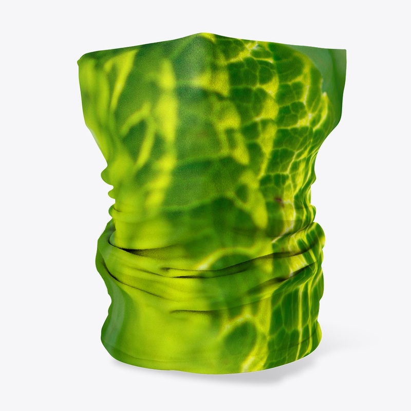 Green leaves in nature