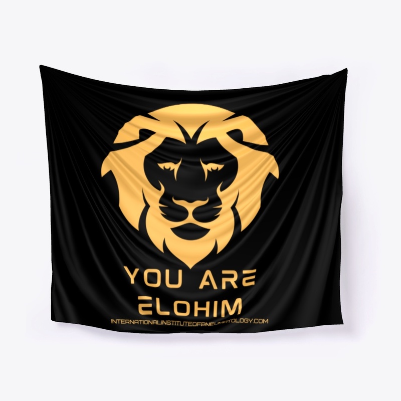 You are Elohim 