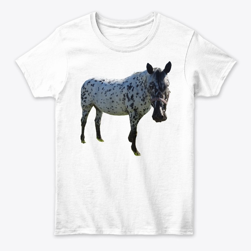 horse i love