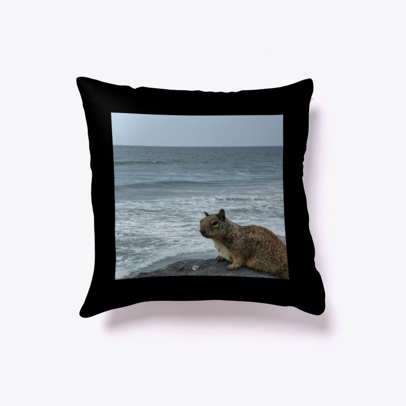 San Diego Squirrel