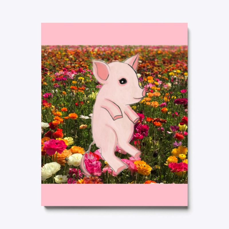 Piggy in Flower Field 