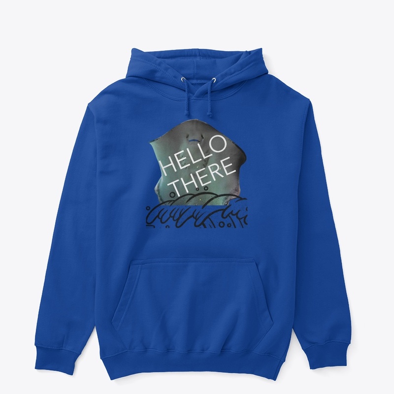 HELLO THERE