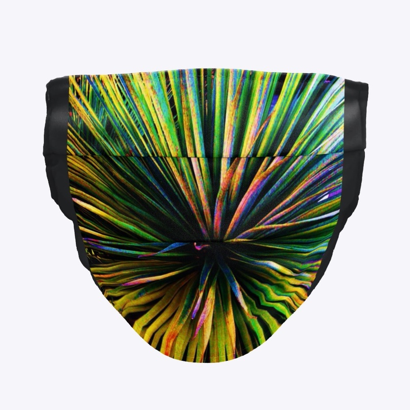 Colorful Yucca photo