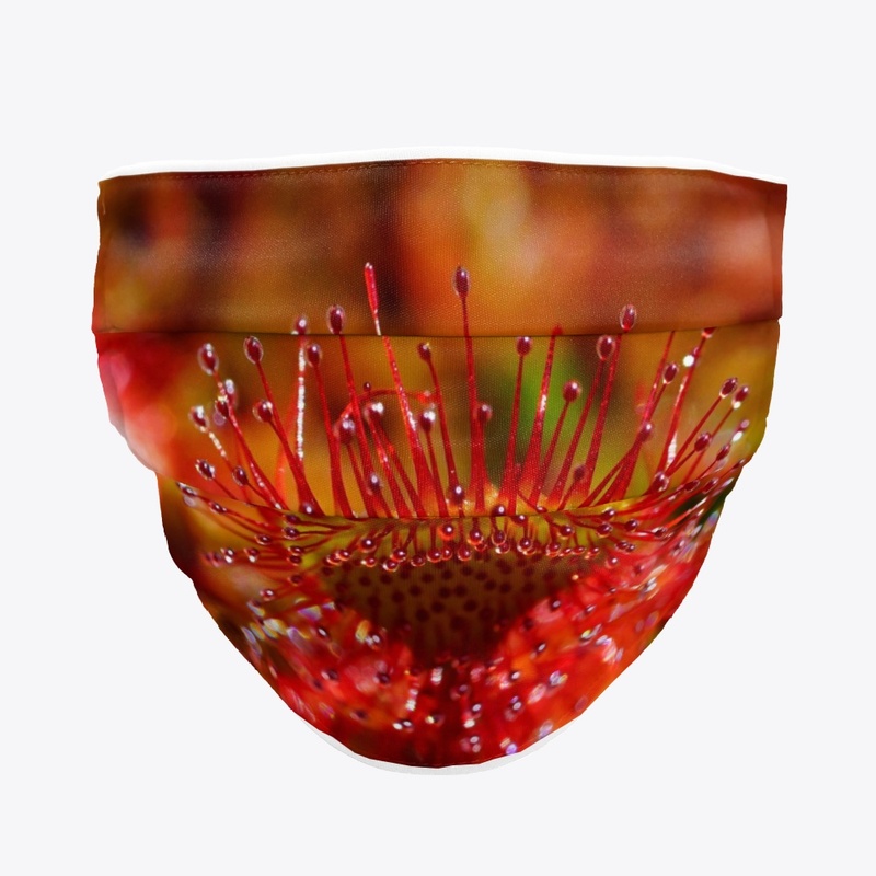 Sundew Fishing Blades