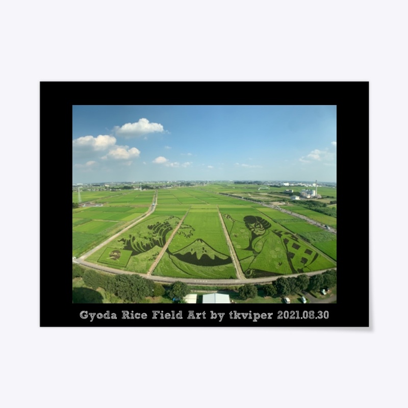 Gyoda Rice Field Art