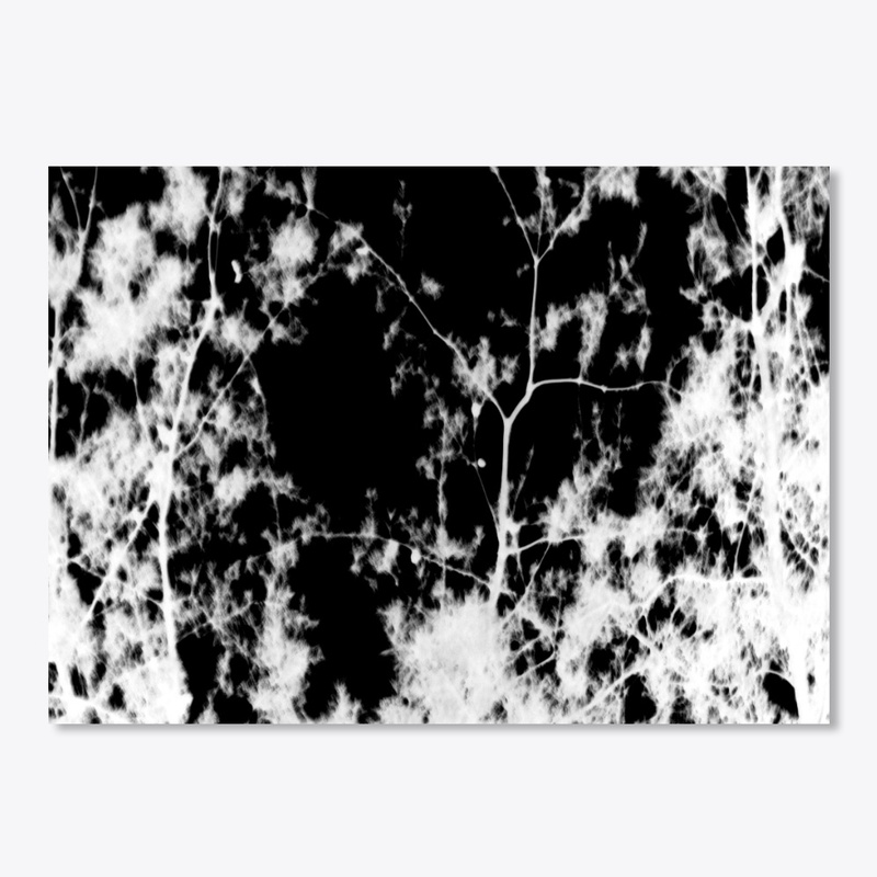 black and white limbs