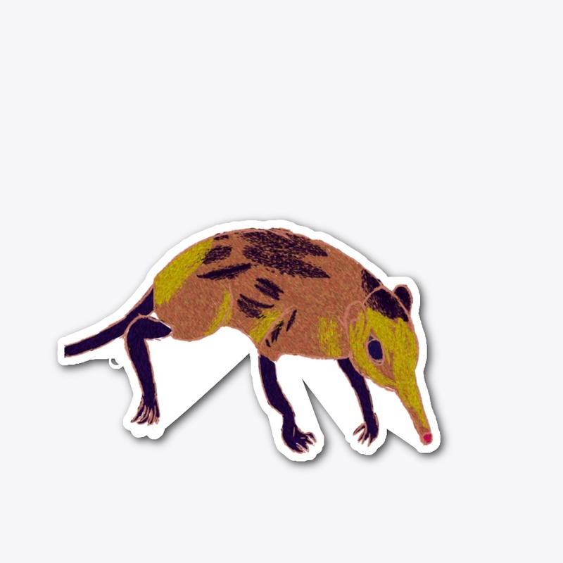 Golden Elephant shrew 