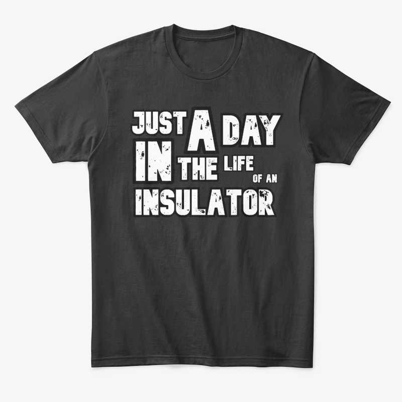 DITL insulator 2