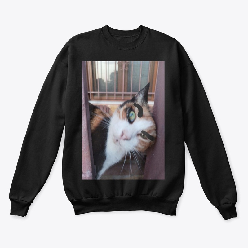 Flipzo's Cat