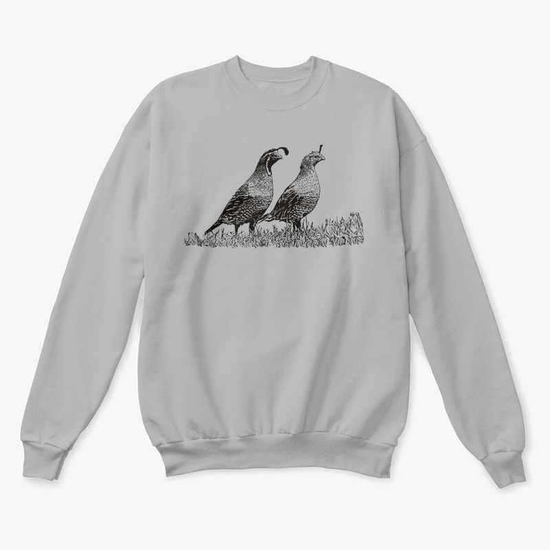 California Quail Birdwatching