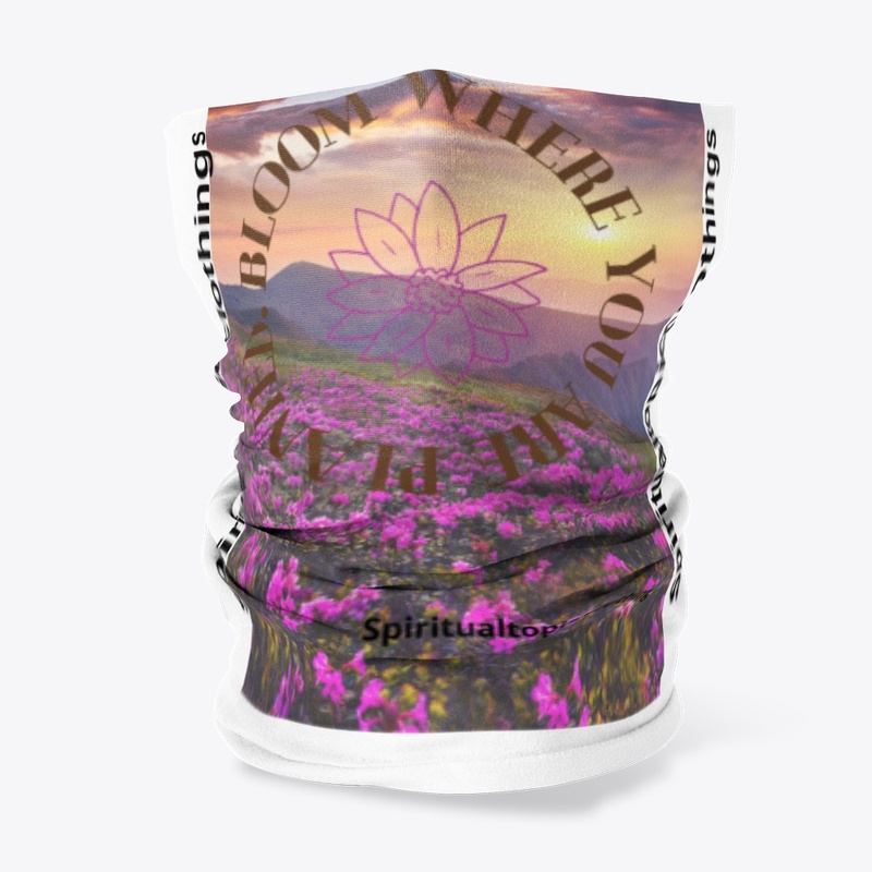 bloom