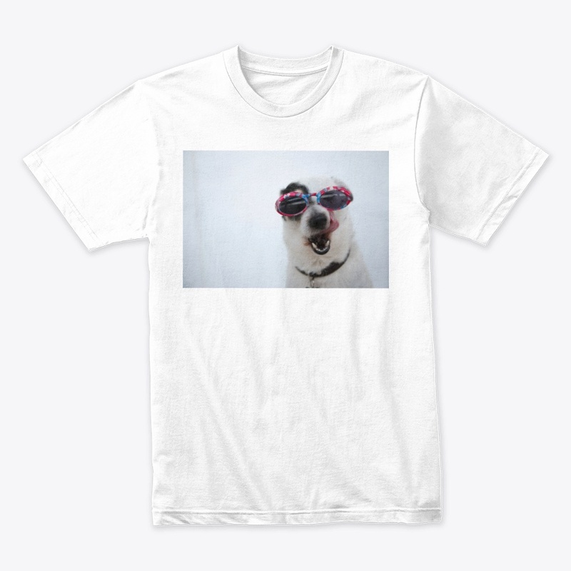 meme dog