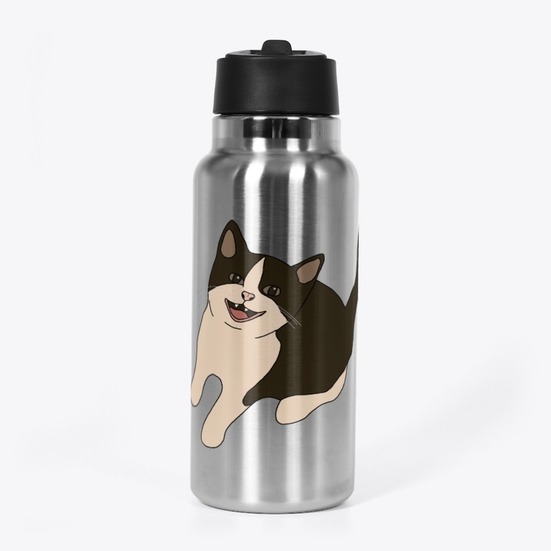 Spooky The Cat Home I