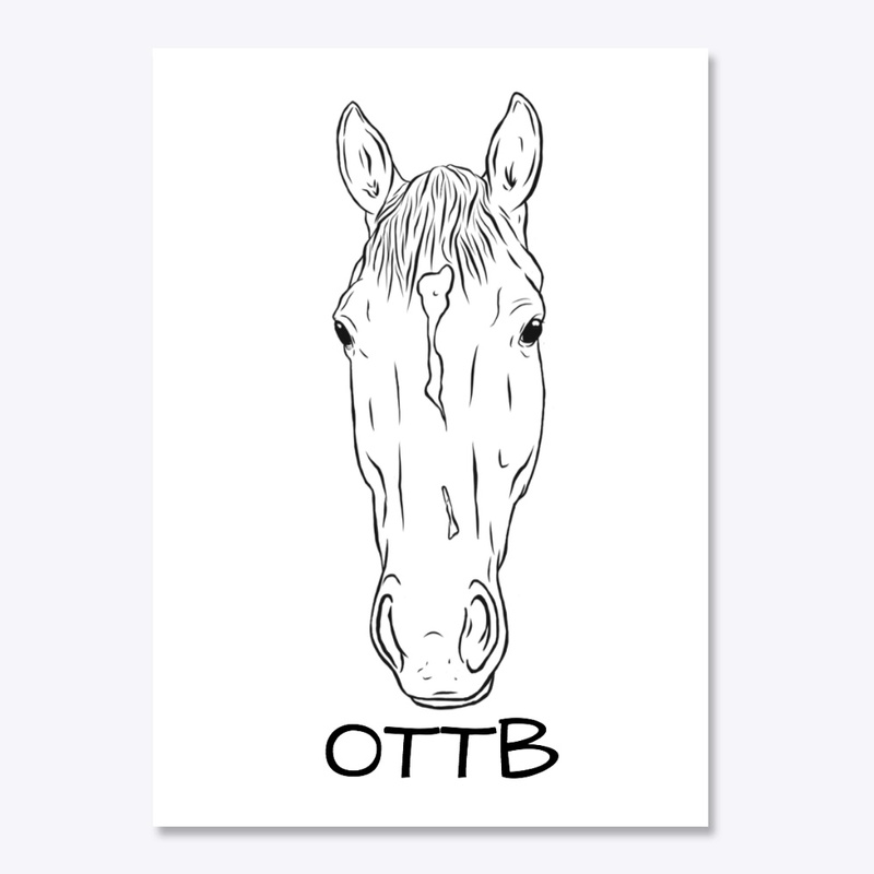 Custom Designed OTTB
