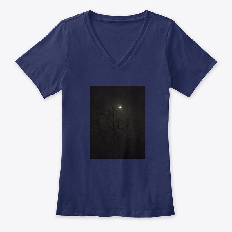 A Beautiful Moon in Haunting Trees