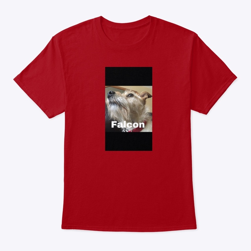 Falcon shirt 