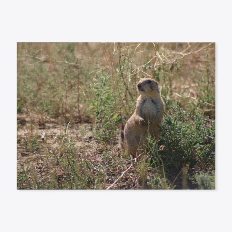 Prairie Dog 1