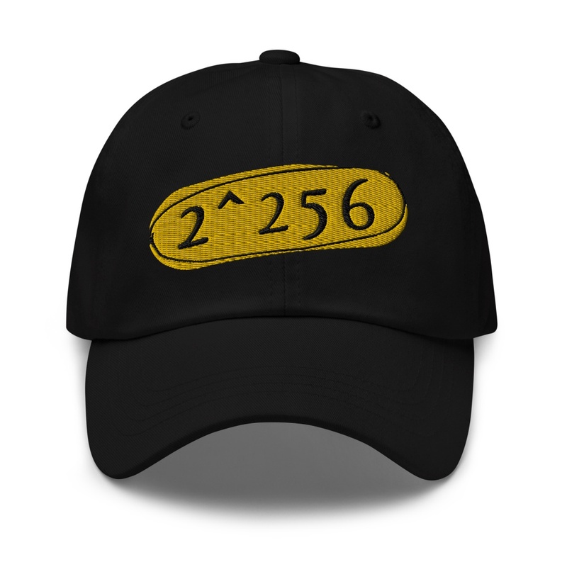2 ^256 embroidered hat