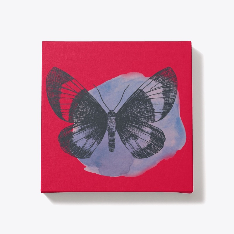 Butterfly and Manga Collection
