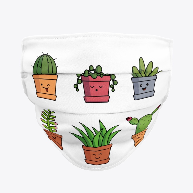 Happy succulents and cacti