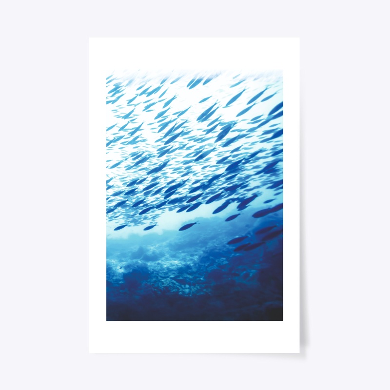 The Sea for all