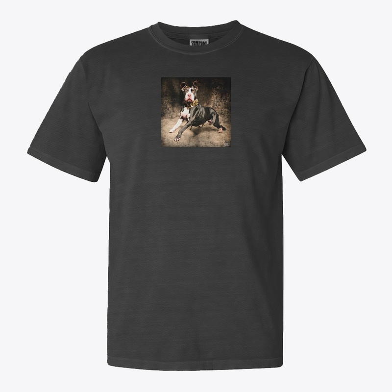 STEAM-PUNK BULLY