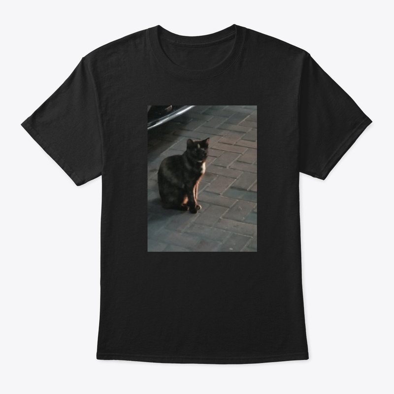 Cats lovers 2020