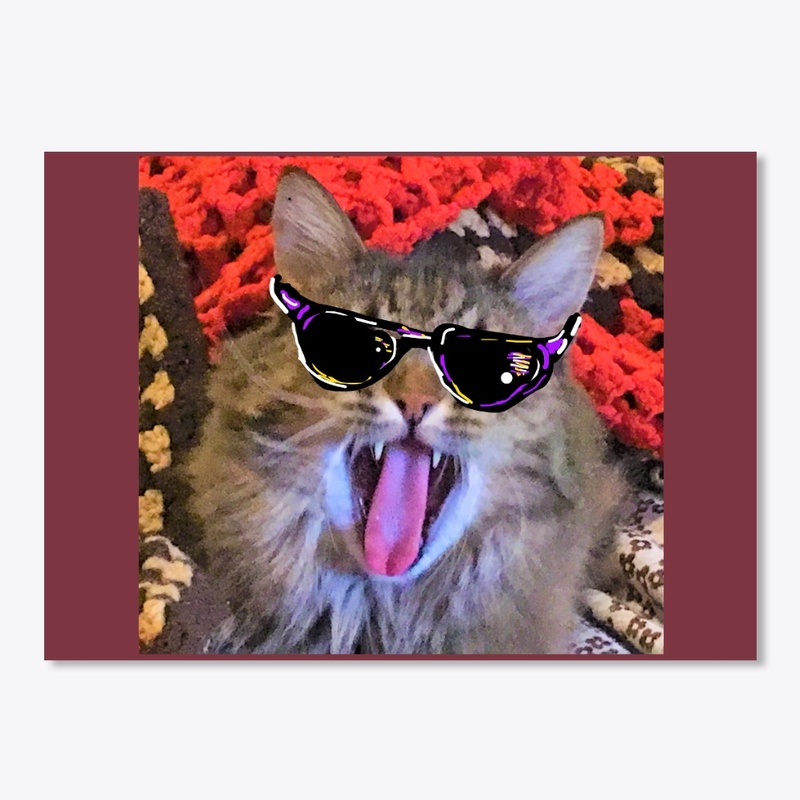 Cool Cat named Folo