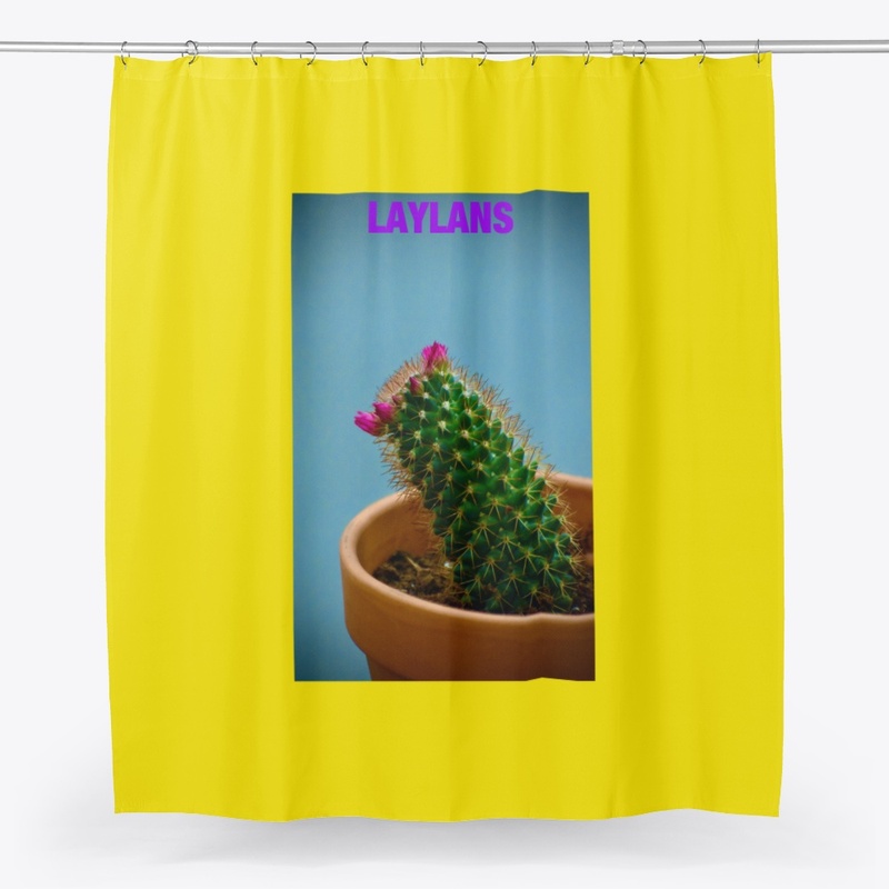 Old Lady Cactus
