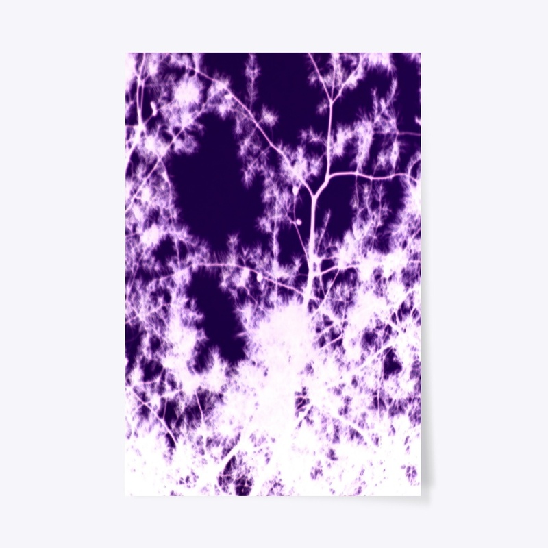white on purple